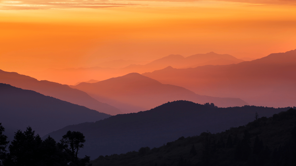 Transformative Tours with Sid Sharma